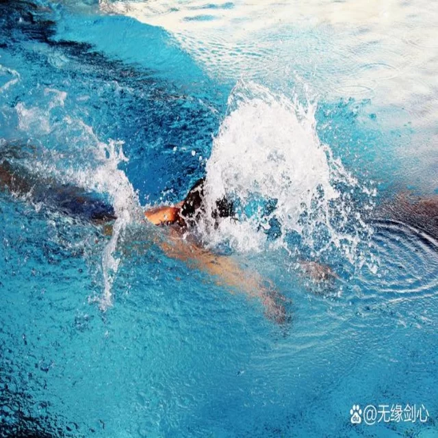 湖人队季后赛直通形势分析（leyu sports）